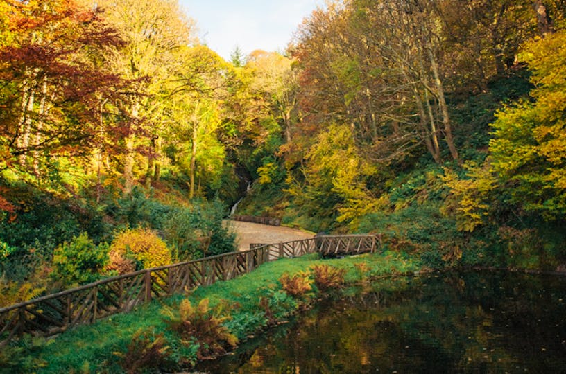glengoyne distillery pond