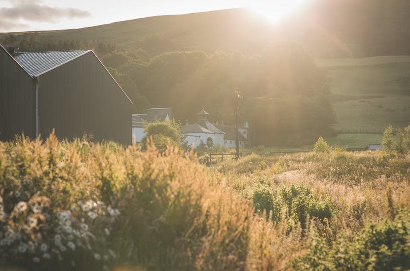 Glengoyne Wetlands